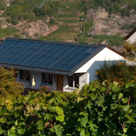 Апартаменты Weingut & Gaestehaus Heidhof Burg (Bernkastel-Wittlich)